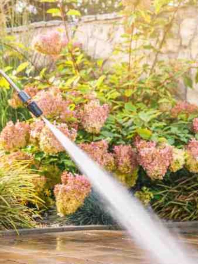 How to Use a Pressure Washer Step-by-Step – Raajgad Techno
